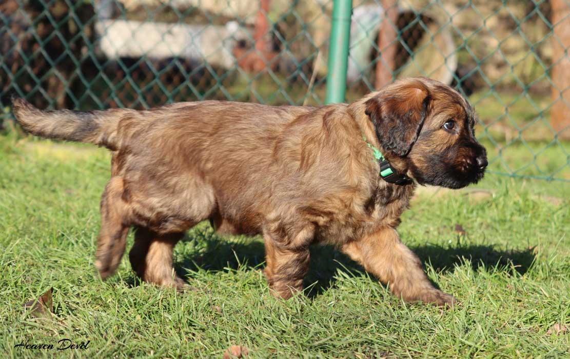 winston 25.12.2022 3