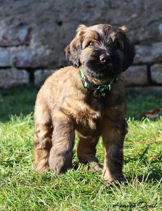 winston 25.12.2022