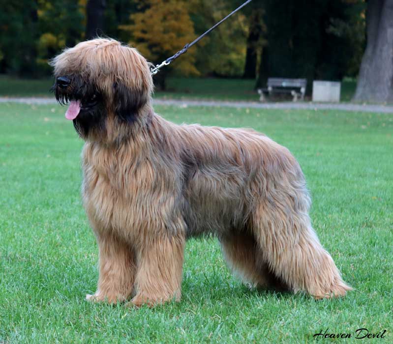 winston 29.10.2023 2