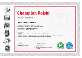 winston polsky sampion small1