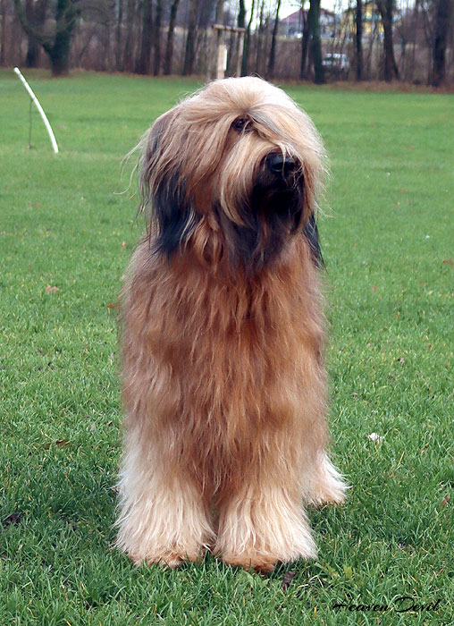coco 7.12.2024 2