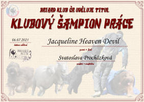 jacqueline klubovy prace small1