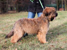 jacquy-21.12.2013-1 small