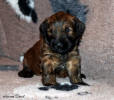 fena oranzova 9.12.2022 1 small