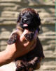 fena oranzova 21.9.2025 1 small