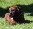 fena zluta 21.9.2025 small