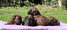 feny 21.9.2025 small