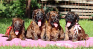 feny 28.9.2025 small