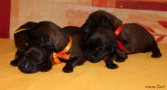 feny 4.9.2025 small