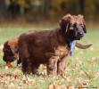 yves1 19.10.2025 small