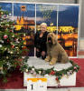 praha 9.12.2023 shakira small