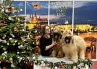 praha 9.12.2023 small