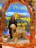 praha 30.11.2024 wendy small
