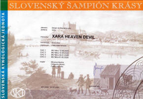 xara slovensky sampion small1