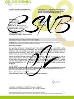 ninja CSNB small1